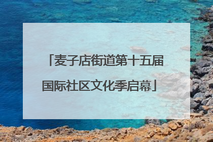 麦子店街道第十五届国际社区文化季启幕