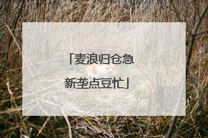 麦浪归仓急 新垄点豆忙