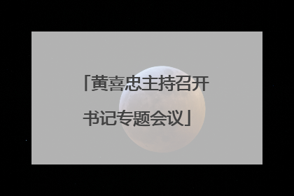黄喜忠主持召开书记专题会议