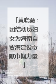 黄晓薇：团结动员妇女为海南自贸港建设贡献巾帼力量