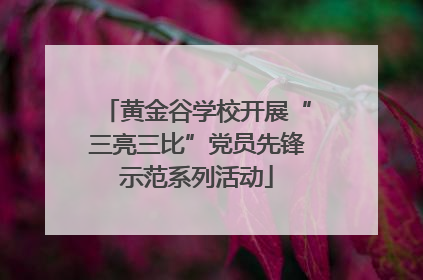 黄金谷学校开展“三亮三比”党员先锋示范系列活动