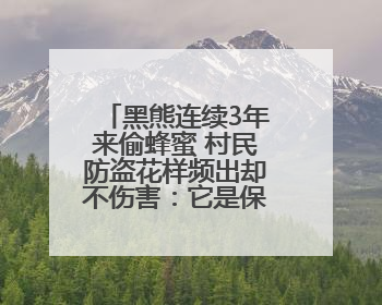 黑熊连续3年来偷蜂蜜 村民防盗花样频出却不伤害：它是保护动物，我有保险兜底
