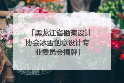 黑龙江省勘察设计协会冰雪创意设计专业委员会揭牌