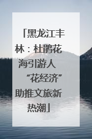 黑龙江丰林：杜鹃花海引游人 “花经济”助推文旅新热潮