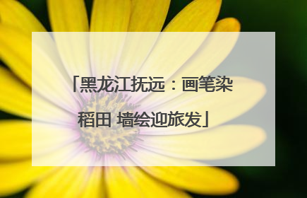 黑龙江抚远：画笔染稻田 墙绘迎旅发