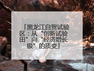 黑龙江自贸试验区：从“创新试验田”向“经济增长极”的质变