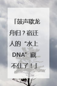 鼓声歇龙舟归？宿迁人的“水上DNA”藏不住了！