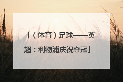 （体育）足球——英超：利物浦庆祝夺冠