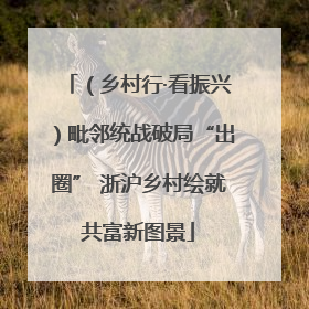 （乡村行·看振兴）毗邻统战破局“出圈” 浙沪乡村绘就共富新图景