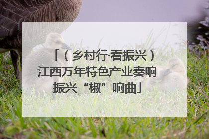 （乡村行·看振兴）江西万年特色产业奏响振兴“椒”响曲