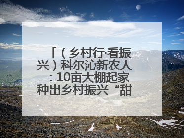 （乡村行·看振兴）科尔沁新农人：10亩大棚起家种出乡村振兴“甜蜜果”