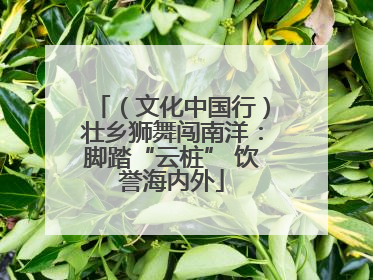 （文化中国行）壮乡狮舞闯南洋：脚踏“云桩” 饮誉海内外