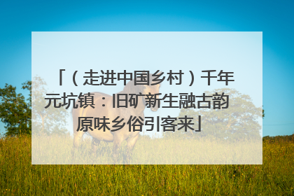 （走进中国乡村）千年元坑镇：旧矿新生融古韵 原味乡俗引客来