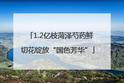 1.2亿枝菏泽芍药鲜切花绽放“国色芳华”