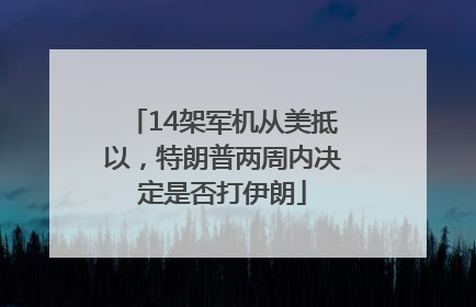 14架军机从美抵以，特朗普两周内决定是否打伊朗