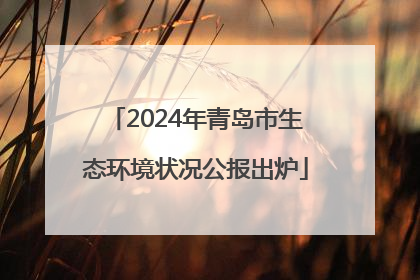 2024年青岛市生态环境状况公报出炉