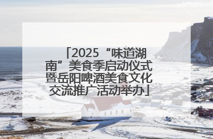 2025“味道湖南”美食季启动仪式暨岳阳啤酒美食文化交流推广活动举办