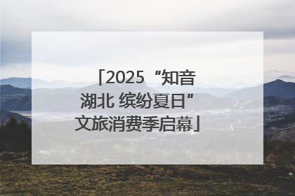 2025“知音湖北 缤纷夏日”文旅消费季启幕