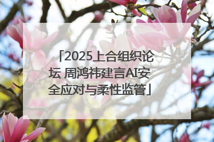 2025上合组织论坛 周鸿祎建言AI安全应对与柔性监管