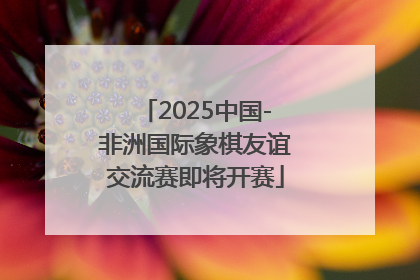2025中国-非洲国际象棋友谊交流赛即将开赛