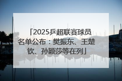 2025乒超联赛球员名单公布：樊振东、王楚钦、孙颖莎等在列