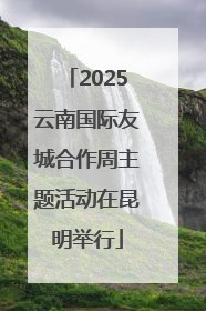 2025云南国际友城合作周主题活动在昆明举行