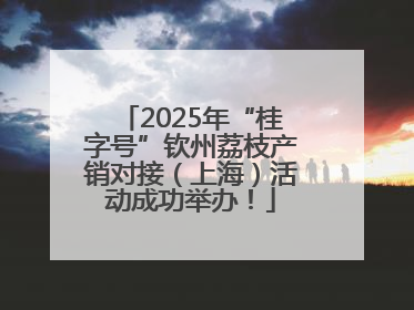 2025年“桂字号”钦州荔枝产销对接（上海）活动成功举办！