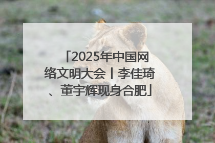 2025年中国网络文明大会丨李佳琦、董宇辉现身合肥