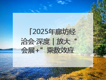 2025年廊坊经洽会·深度｜放大“会展+”乘数效应 打造消费新场景