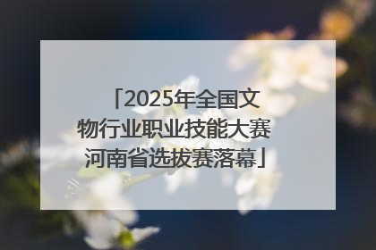 2025年全国文物行业职业技能大赛河南省选拔赛落幕