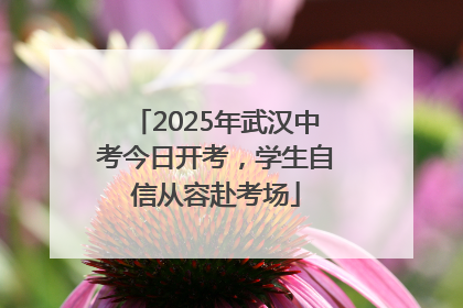 2025年武汉中考今日开考，学生自信从容赴考场