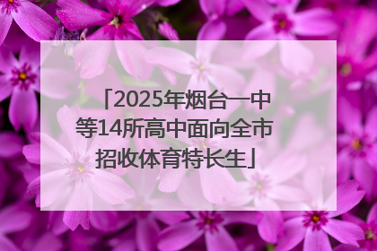 2025年烟台一中等14所高中面向全市招收体育特长生