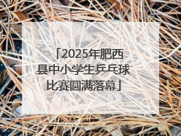 2025年肥西县中小学生乒乓球比赛圆满落幕
