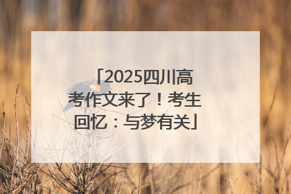 2025四川高考作文来了！考生回忆：与梦有关