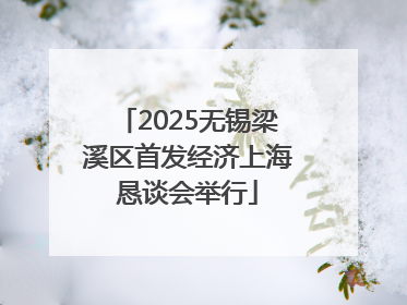 2025无锡梁溪区首发经济上海恳谈会举行