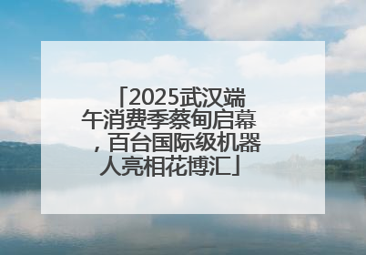 2025武汉端午消费季蔡甸启幕，百台国际级机器人亮相花博汇