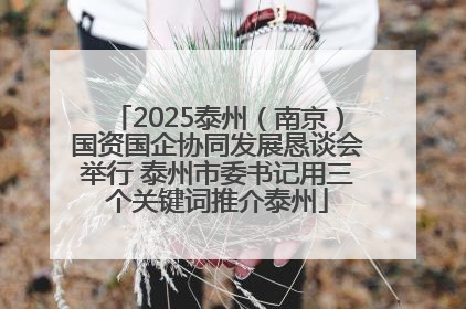 2025泰州（南京）国资国企协同发展恳谈会举行 泰州市委书记用三个关键词推介泰州