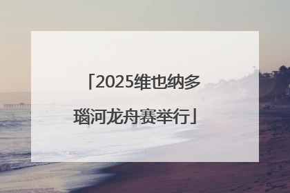 2025维也纳多瑙河龙舟赛举行