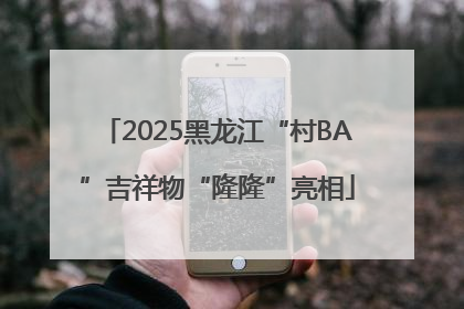 2025黑龙江“村BA”吉祥物“隆隆”亮相