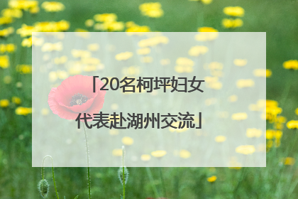 20名柯坪妇女代表赴湖州交流
