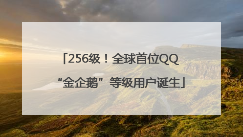 256级！全球首位QQ“金企鹅”等级用户诞生