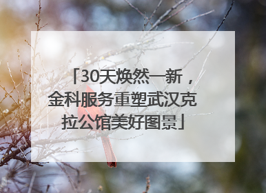 30天焕然一新，金科服务重塑武汉克拉公馆美好图景