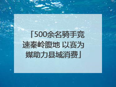 500余名骑手竞速秦岭腹地 以赛为媒助力县域消费