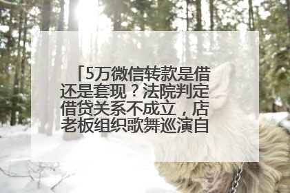 5万微信转款是借还是套现？法院判定借贷关系不成立，店老板组织歌舞巡演自我“恢复名誉”