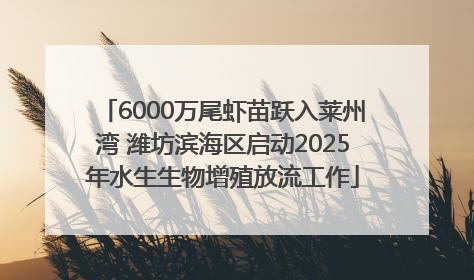 6000万尾虾苗跃入莱州湾 潍坊滨海区启动2025年水生生物增殖放流工作