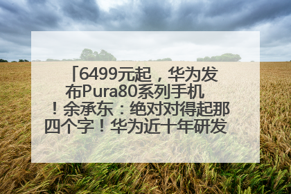 6499元起，华为发布Pura80系列手机！余承东：绝对对得起那四个字！华为近十年研发投入12490亿元