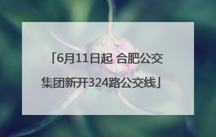 6月11日起 合肥公交集团新开324路公交线