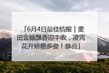 6月4日最佳情报｜麦田金穗飘香迎丰收，凌霄花开娇艳多姿！恭喜