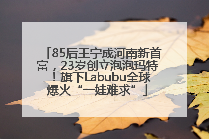 85后王宁成河南新首富，23岁创立泡泡玛特！旗下Labubu全球爆火“一娃难求”