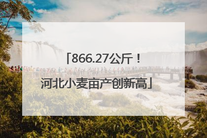 866.27公斤！河北小麦亩产创新高